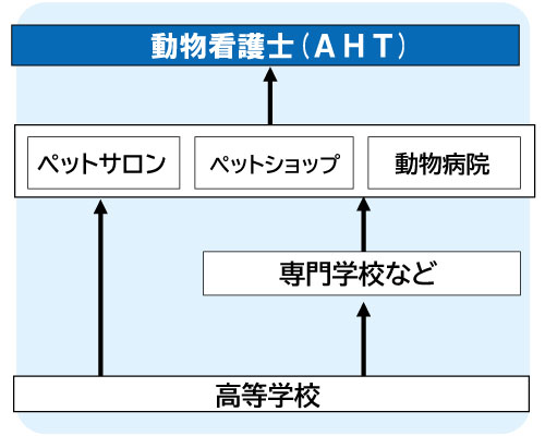 コンピュータゲーム