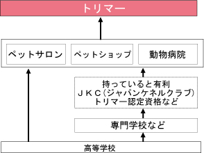 サイト名