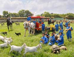 東京動物専門学校